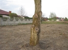 Ostrów Wlkp, ul. Na Skraju